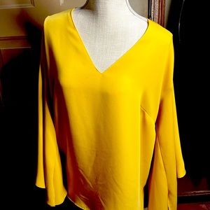 Beautiful RL blouse